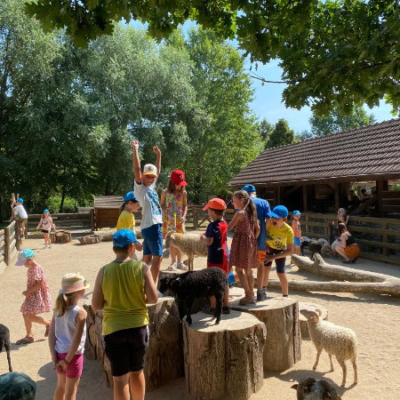 [img-20220720-wa0071.jpeg]