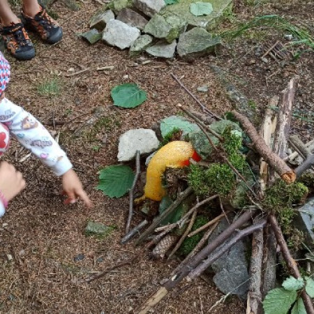 [img-20210719-100942.jpeg]