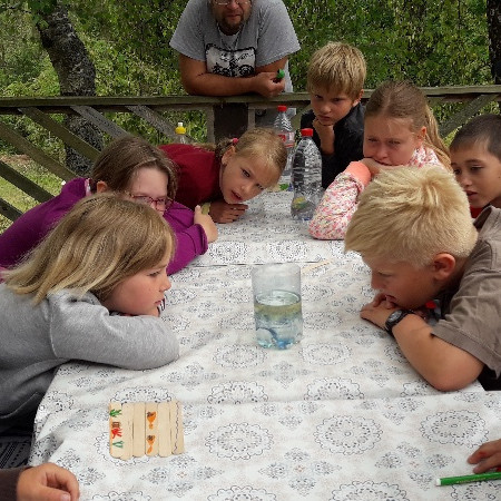 [20190705-100151.jpeg]