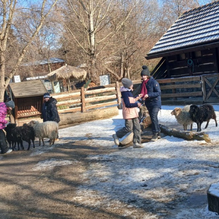 [img-20250317-wa0092.jpeg]