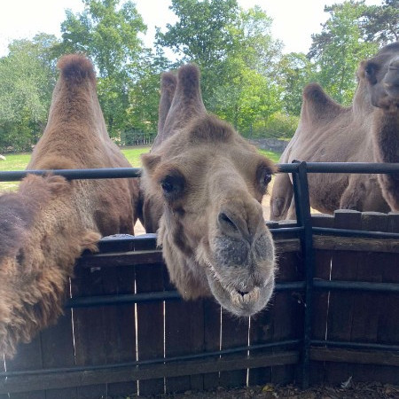 [inbound831085781668662718.jpeg]