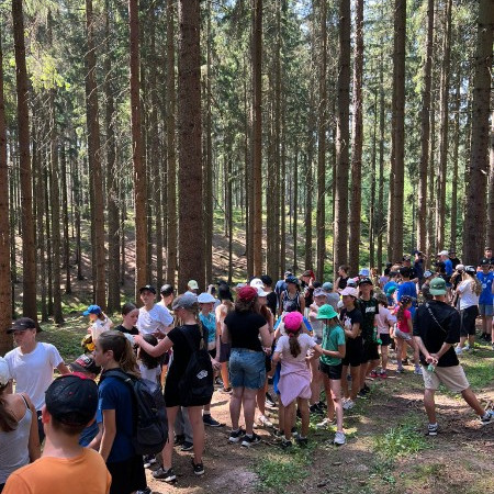 [img-20240710-wa0011.jpeg]