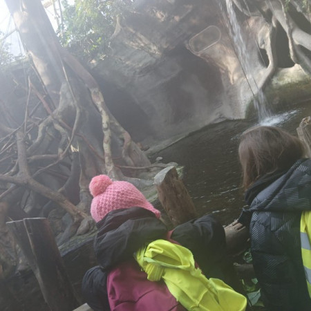 [img-20250317-wa0106.jpeg]