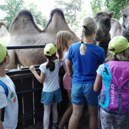 [img-20210726-wa0001.jpeg]