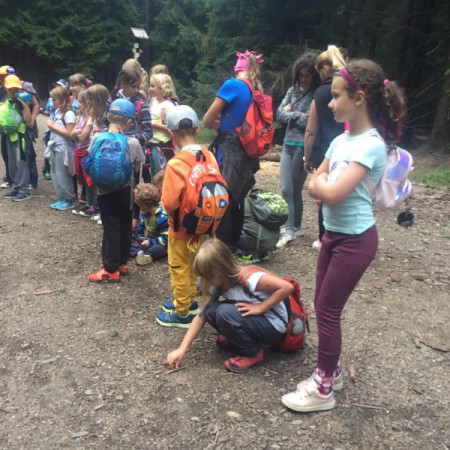 [118208142-843590806465276-3875949020523846160-n.jpeg]