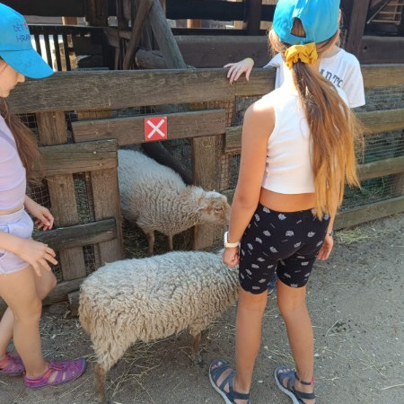 [img-20240823-wa0139.jpeg]