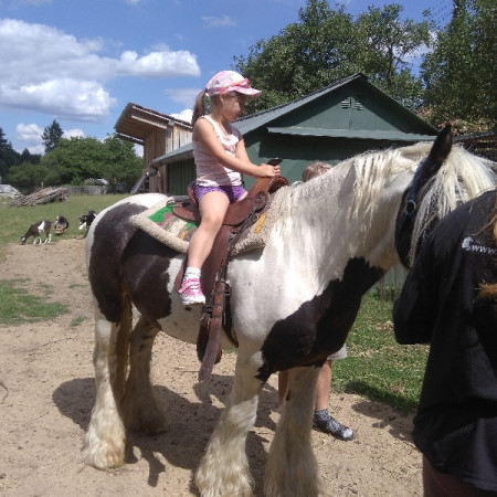 [img-20170703-151346.jpeg]