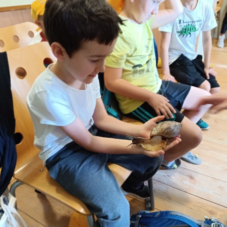 [img-20240705-102425.jpeg]