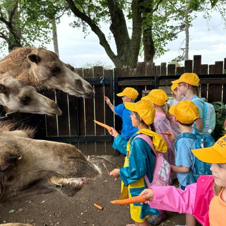 [img-20240716-wa0033.jpeg]