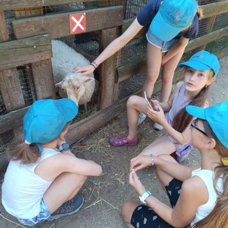 [img-20240823-wa0144.jpeg]