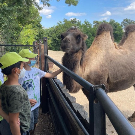 [img-20210723-wa0027.jpeg]