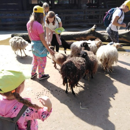 [img-20210807-wa0076.jpeg]