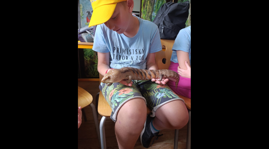 Příměstský tábor v zoo 1 2026