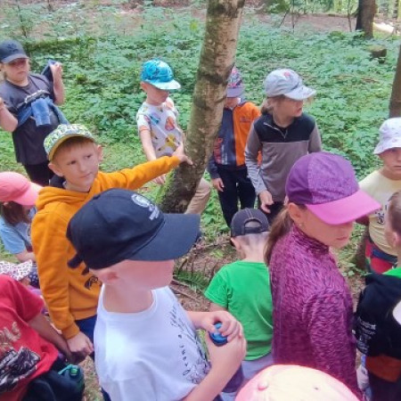 [img-20240807-wa0002.jpeg]