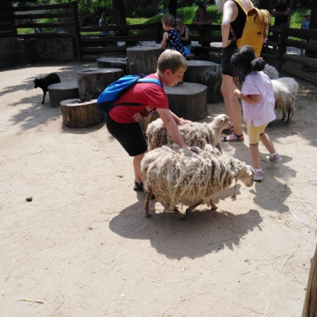 [img-20210726-wa0010.jpeg]