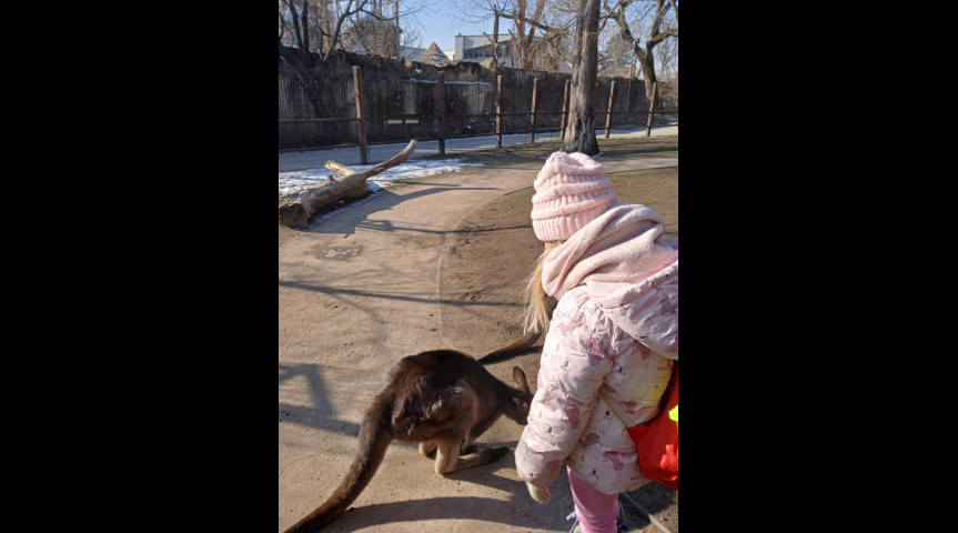 Příměstský tábor v zoo 1 2026