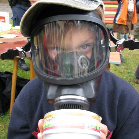 [izs-12-resize.jpeg]