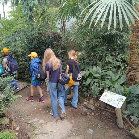 [img-20250707-115615.jpeg]