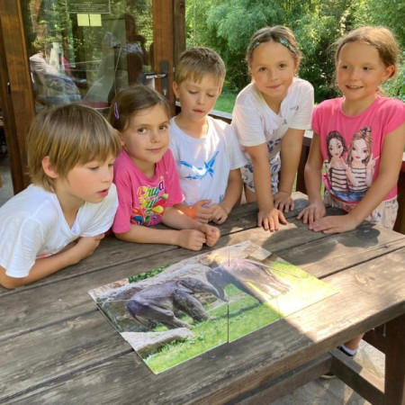 [photo-2023-08-18-17-37-47-3-.jpeg]