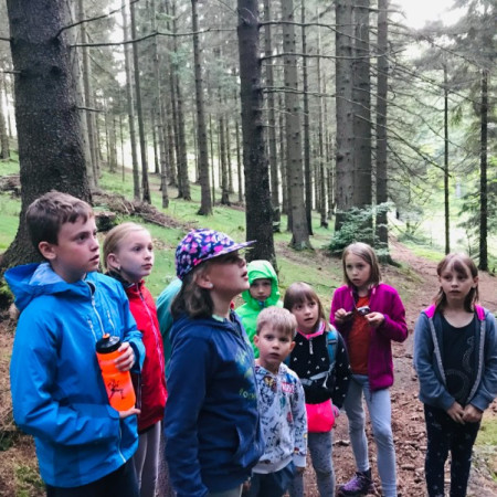 [7e46cd7c-39e9-47e4-8d6e-5cc732d736b8.jpeg]