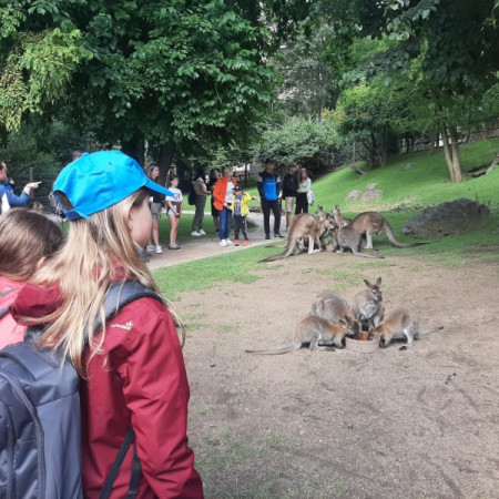 Příměstský tábor v ZOO 6 2023