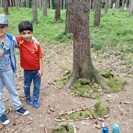 [img-20200702-104328.jpeg]