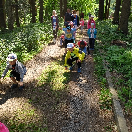 [img-20190708-151433.jpeg]