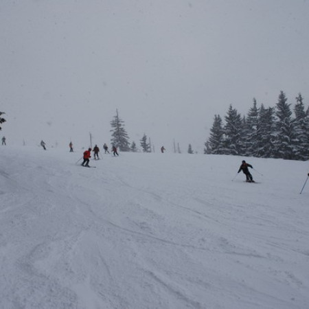 [dsc-0715-resize.jpeg]