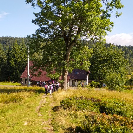 [img-20210803-094408.jpeg]