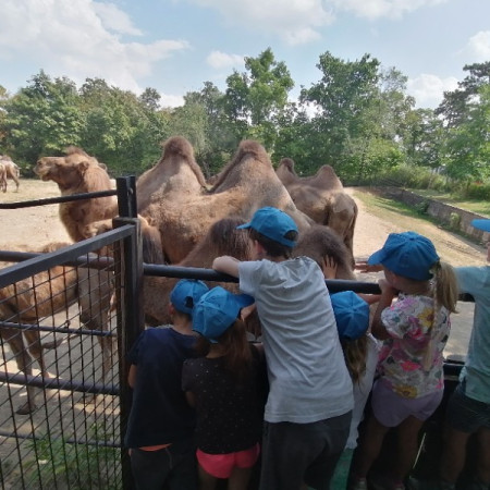 [img-20220815-134411.jpeg]