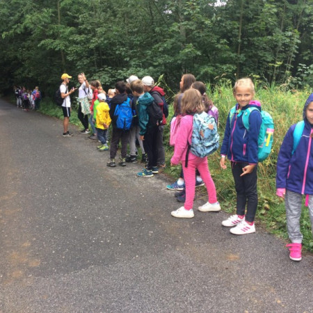 [117890220-301905497701429-5190439990366341149-n.jpeg]