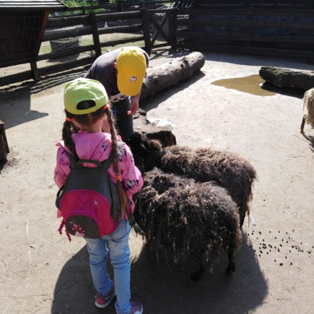 [img-20210807-wa0086.jpeg]