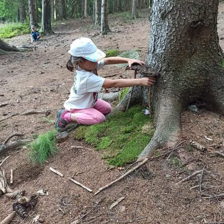 [238548832-232928958741213-940296514461259217-n.jpeg]