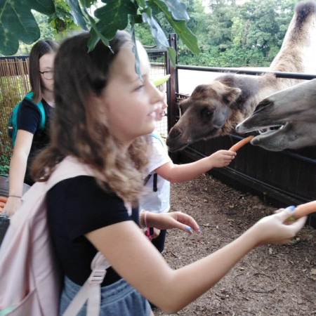 [img-20210726-wa0070.jpeg]