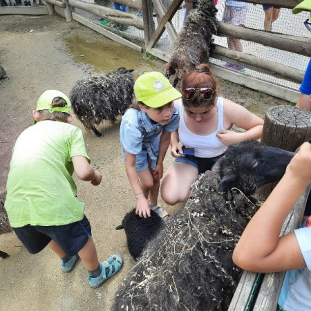 [20210716-151236.jpeg]