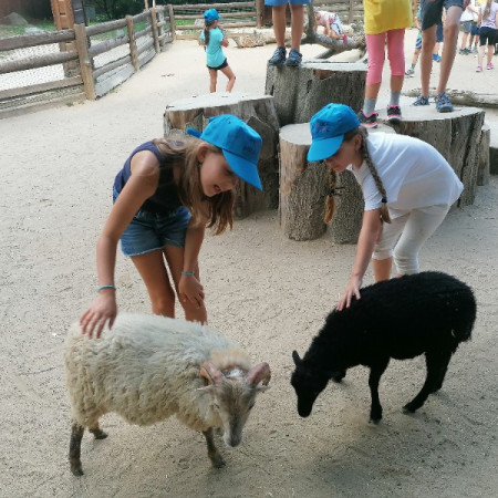 [img-20220815-155248.jpeg]