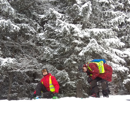 [img-20180213-092628.jpeg]