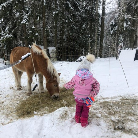 [img-20220222-wa0003.jpeg]