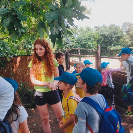 [img20220711133219.jpeg]