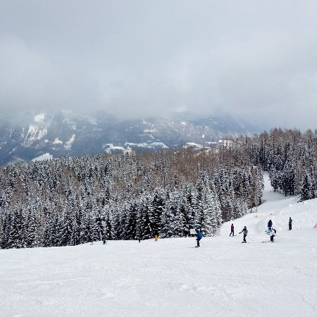 [img-20180213-112755.jpeg]