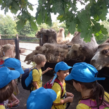 [img-20220817-wa0033.jpeg]