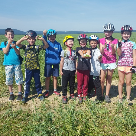 [20180705-101503.jpeg]