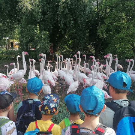 [img-20220815-100231.jpeg]