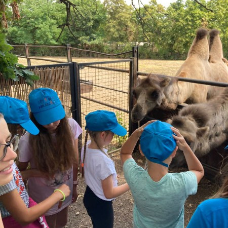 [whatsapp-image-2023-07-28-at-13.05.41-3-.jpeg]