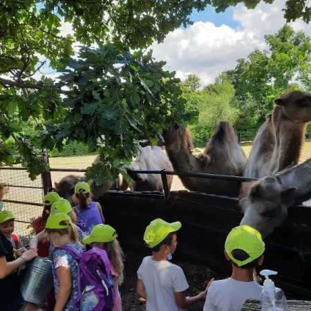 [20210712-140636.jpeg]