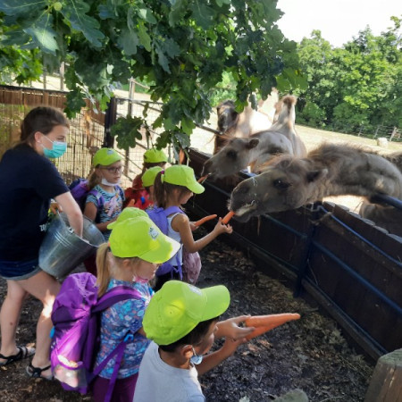 [20210712-140624.jpeg]