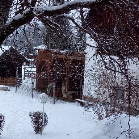 [img-20180214-171402.jpeg]