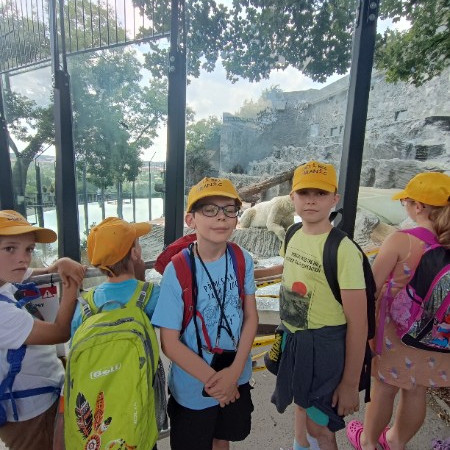 [img-20240718-132612.jpeg]