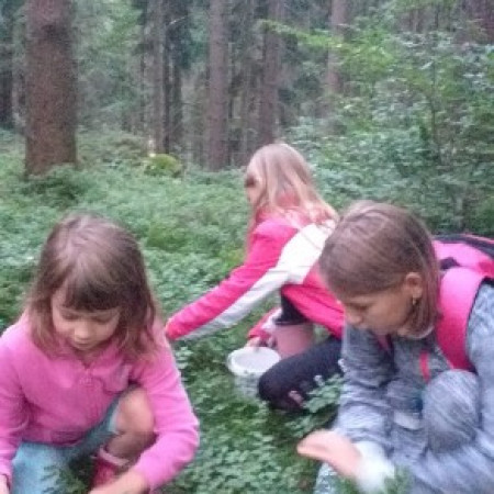 [6c6aac54-bc8f-4df9-85e1-8797df85cc71.jpeg]