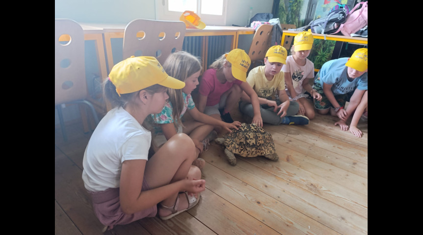 Příměstský tábor v zoo 1 2026